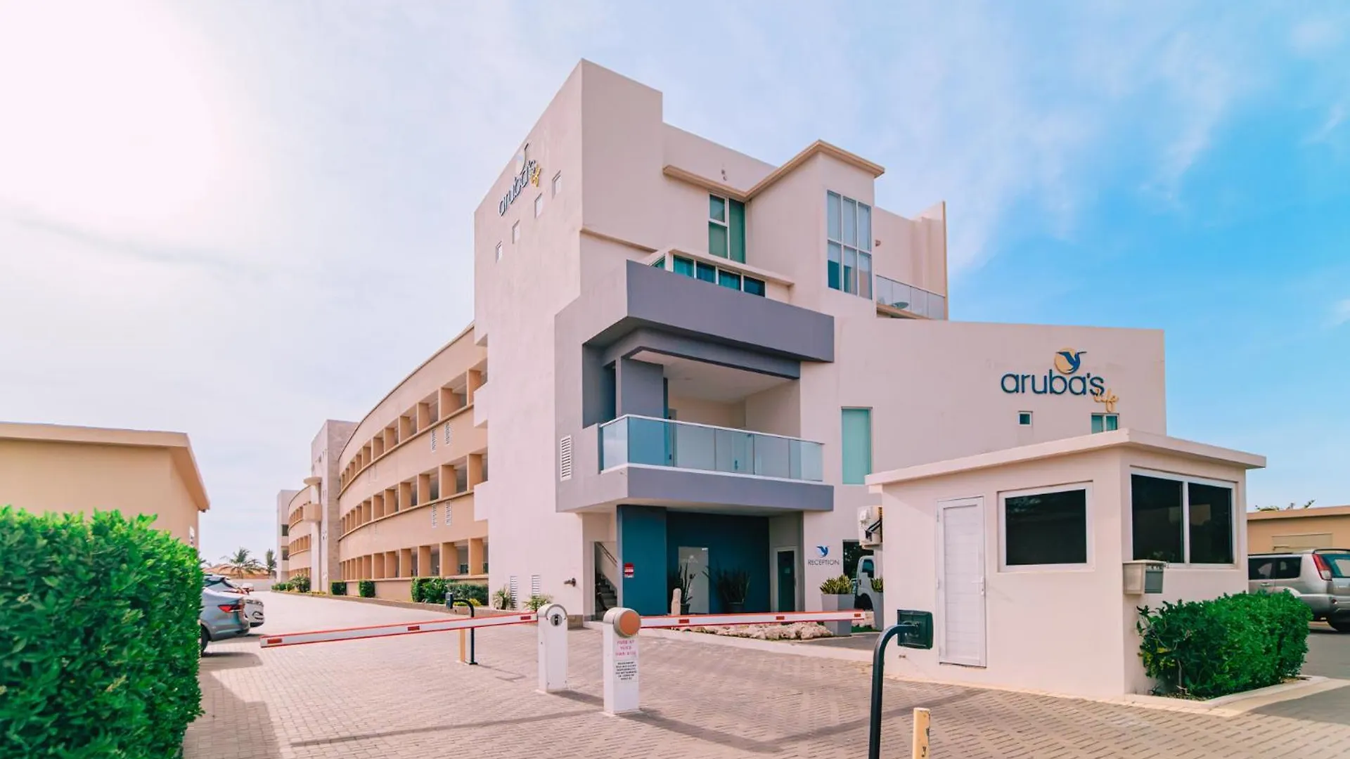 Arubas Life 111 Apartment Noord
